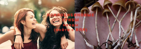 спайс Алексин